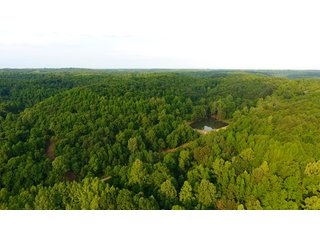 Property photo 59 - LAND AUCTION - 1,050+/- ACRES OFFERED IN 21 TRACTS PLUS 450+/- ACRE HUNTING LEASE IN MUSKINGUM COUNTY, OHIO